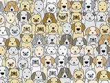 Jouer à Find the pug