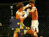 Jouer à Mma fighters jigsaw